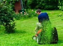 Kwikfynd Lawn Mowing
wongabel